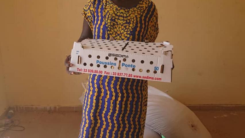 senegal 5