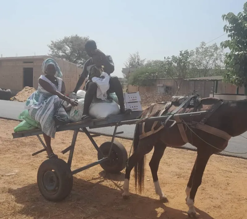 senegal 7