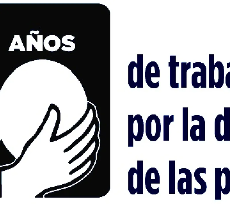 sin titulo 1