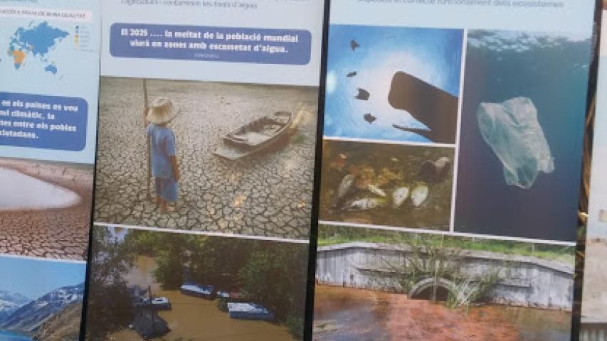 Exposición del agua durante la jornada