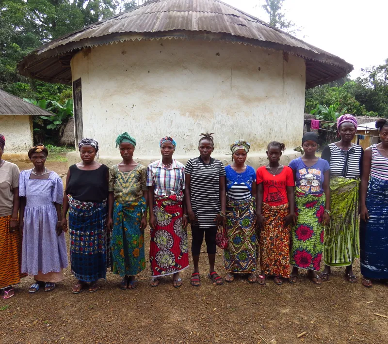 the project management committee pmc makemuma community