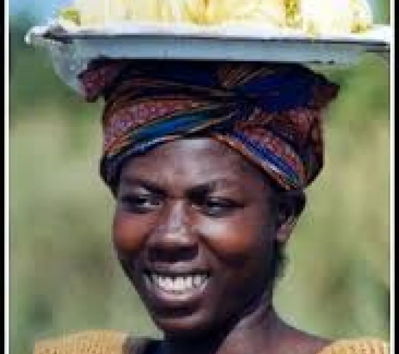 togo3