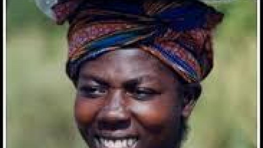 togo3