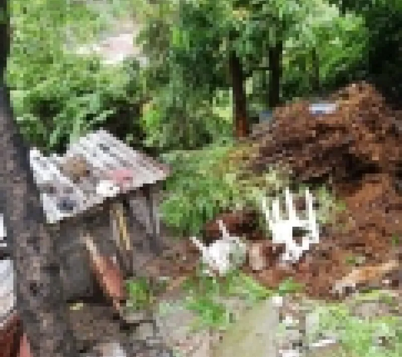 tormenta amanda 11