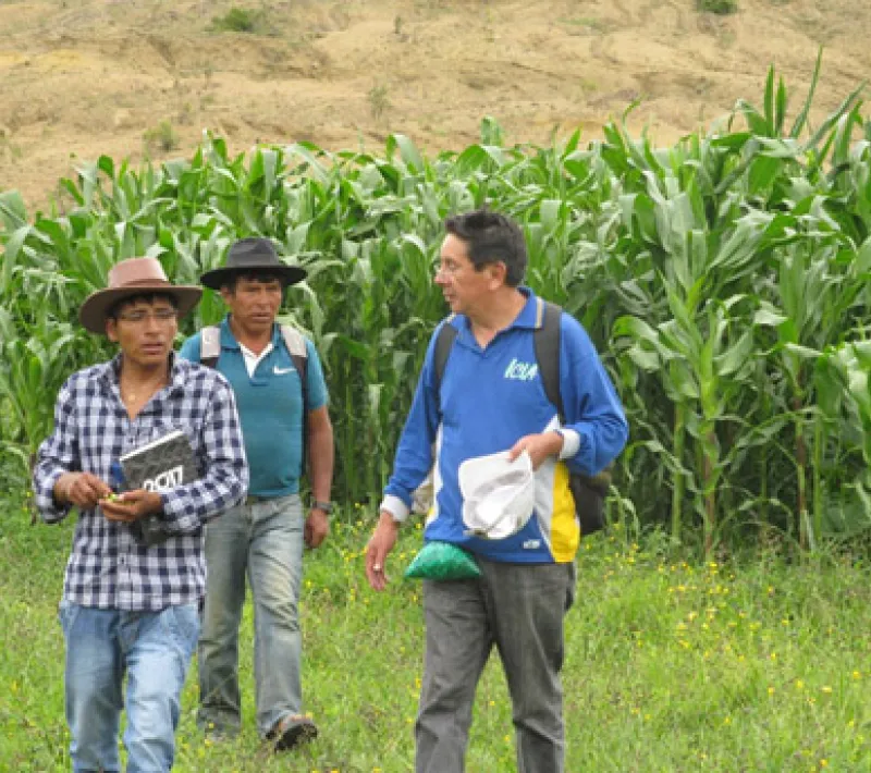 El cambio climático, vida o muerte para las familias en Bolivia