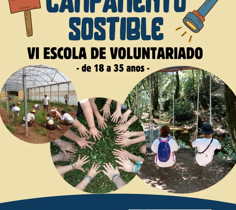 vi escola de voluntariado carteleria