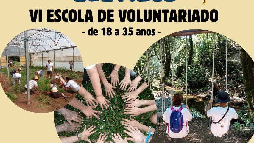vi escola de voluntariado carteleria