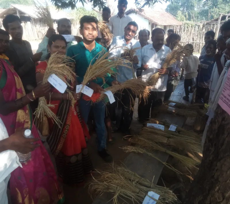El conocimiento de técnicas agrícolas les ayuda a mejorar notablemente sus cosechas y a mejorar su alimentación.