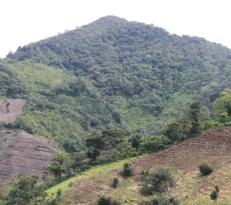 vista de la ubicacion de las comunidades del merendon donde labran la tierra