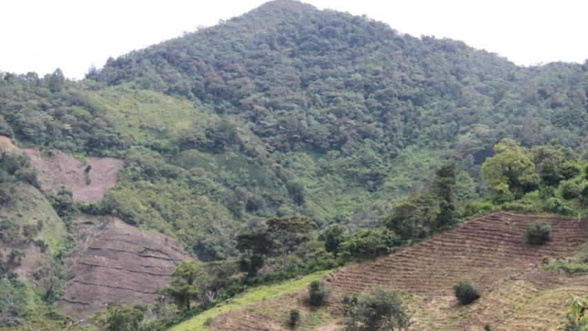 vista de la ubicacion de las comunidades del merendon donde labran la tierra