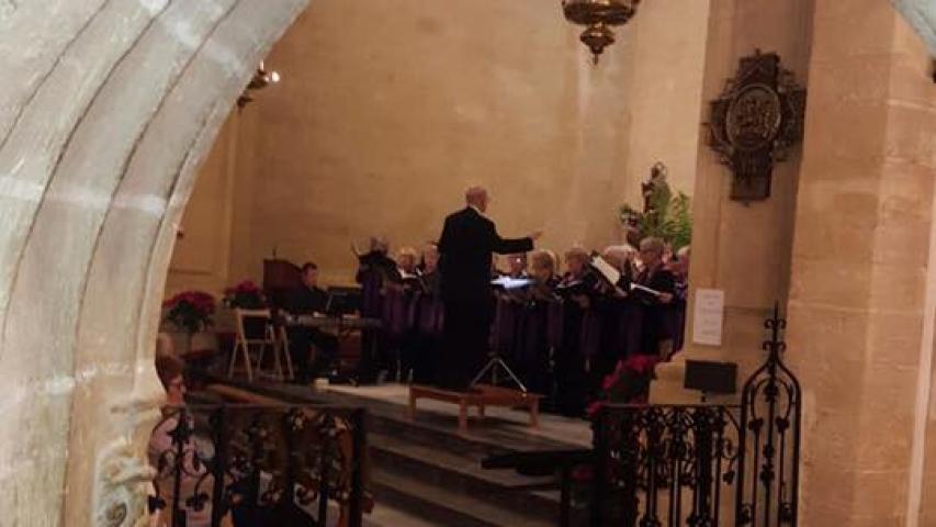 vivace 1