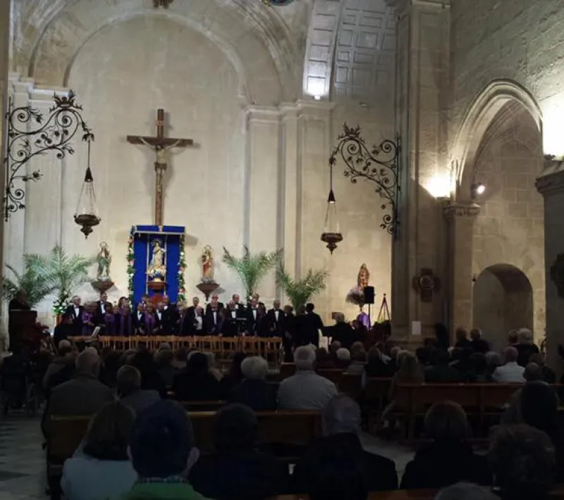 vivace 2