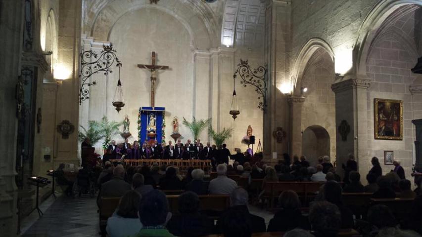 vivace 2