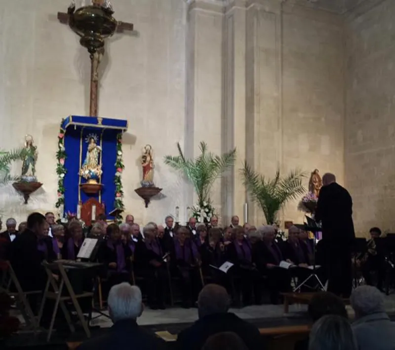 vivace 3