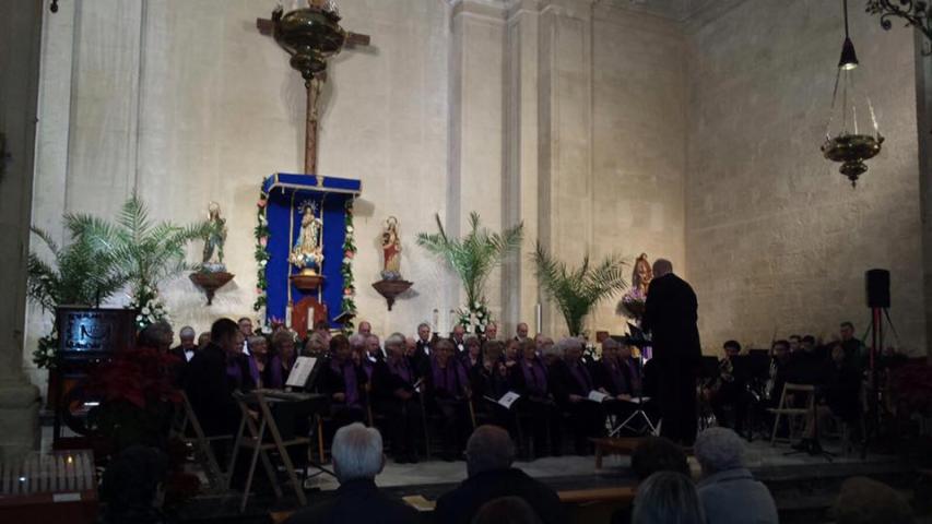 vivace 3