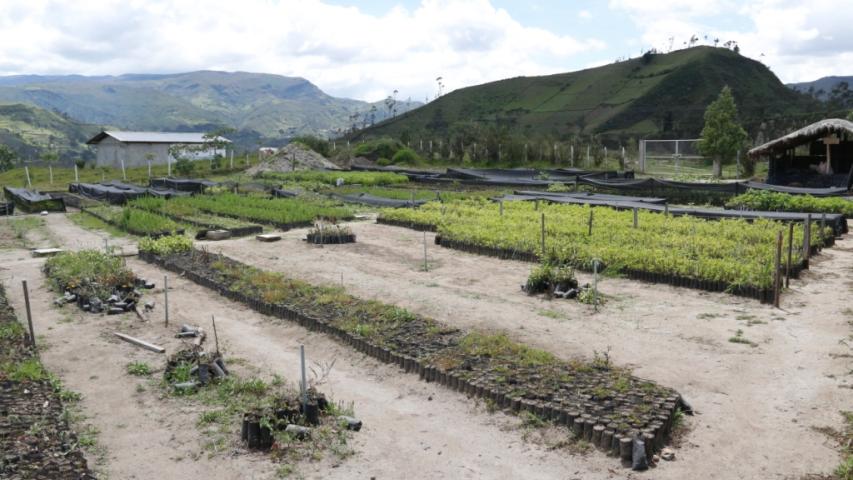 Vivero de Chungchilán