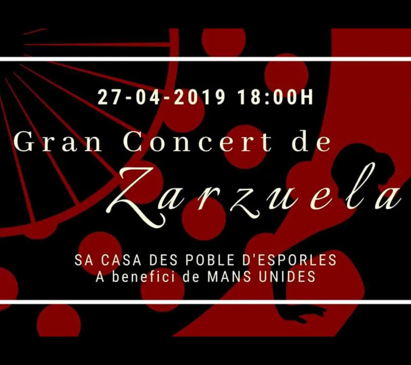 Concierto del Duo Voicello a beneficio de Manos Unidas