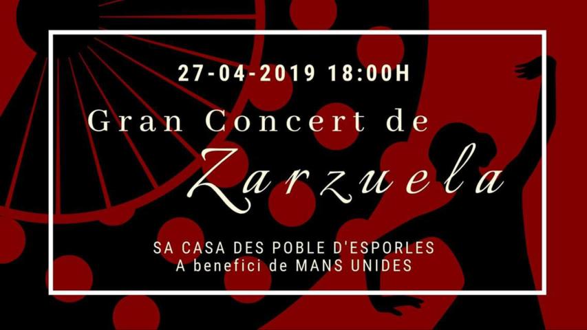 Concierto del Duo Voicello a beneficio de Manos Unidas