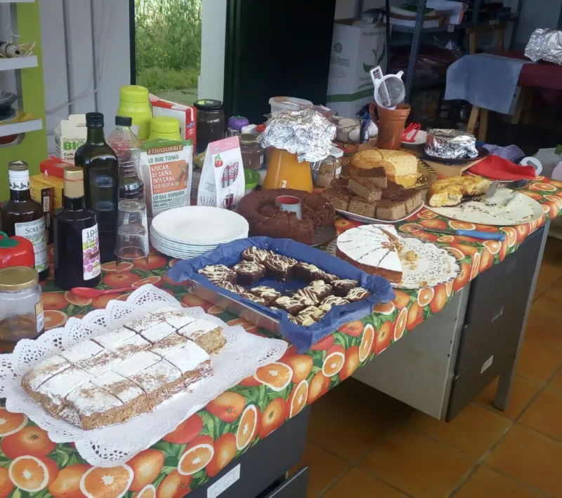 Manos Unidas en la UCO I