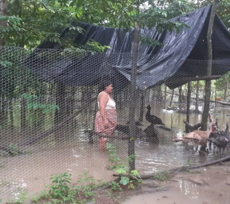 Huracán Tormenta tropical Eta - Guatemala y Nicaragua - Manos Unidas