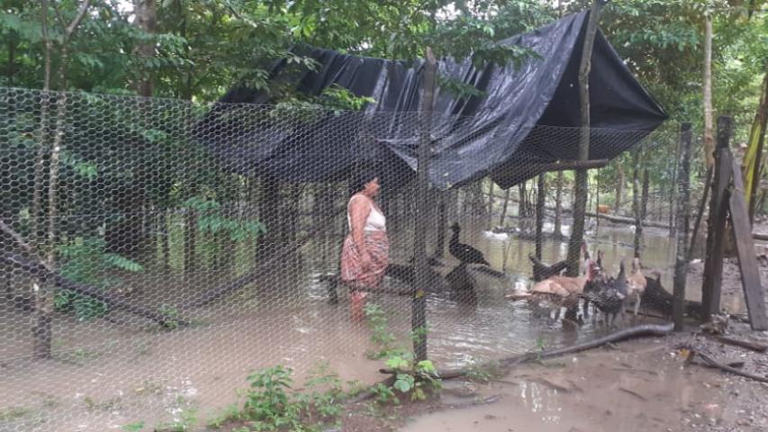 Huracán Tormenta tropical Eta - Guatemala y Nicaragua - Manos Unidas