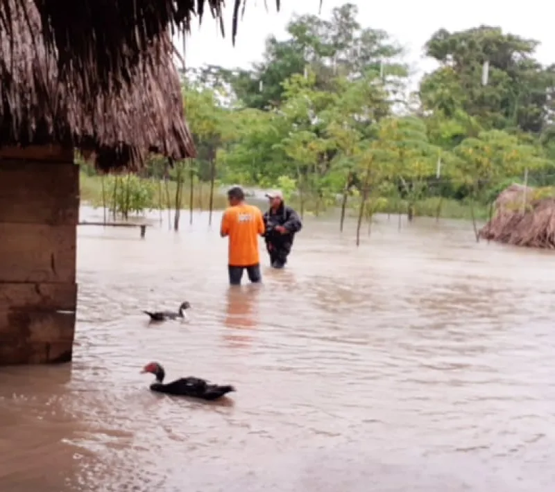 Huracán Tormenta tropical Eta - Guatemala y Nicaragua - Manos Unidas