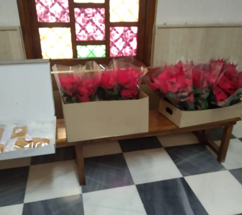 whatsapp image 2022 12 11 at 19.21.26