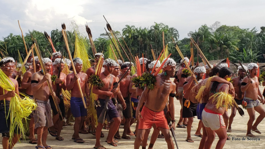 yanomami 2