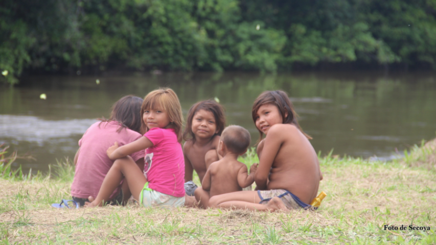 yanomami 3